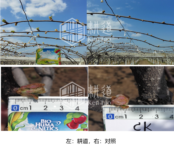 QQ截图20211203104038.png