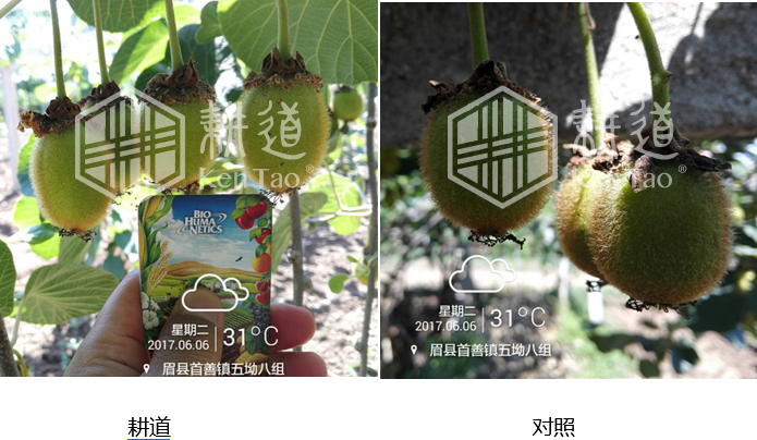 QQ截图20211203104247.png