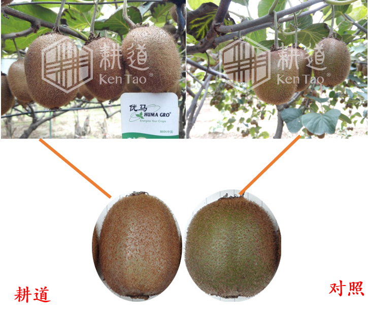 QQ截图20211203104444.png